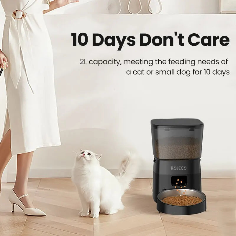CareRoutine™ Easy LCD Timed Pet Feeder